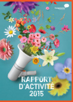 Rapport d'activité 2015