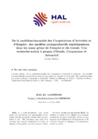 De la multifonctionnalité des Coopératives d’Activités et d’Emploi : des modèles socioproductifs expérimentaux dans les zones grises de l’emploi et du travail. Une recherche-action à propos d’Oxalis, Coopaname et Artenréel